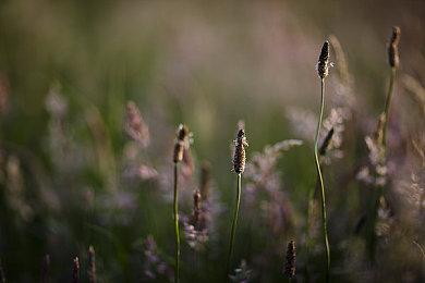 《浩劫前夕》开发者澄清争论：游戏确实存在 等着看吧